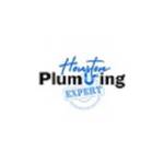 Houston Plumbing Expert