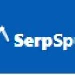 serpspur com