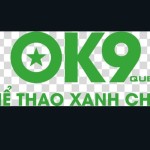 nhà cái ok9
