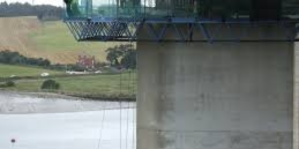 Bridge Bearing Market advancing through automation and digital monitoring innovations in civil engineering sector