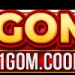 1gom 1gom