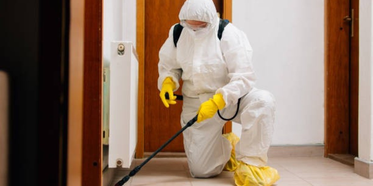 The Comprehensive Services Offered by Professional Pest Control Companies