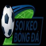 Soikeobongda07 net