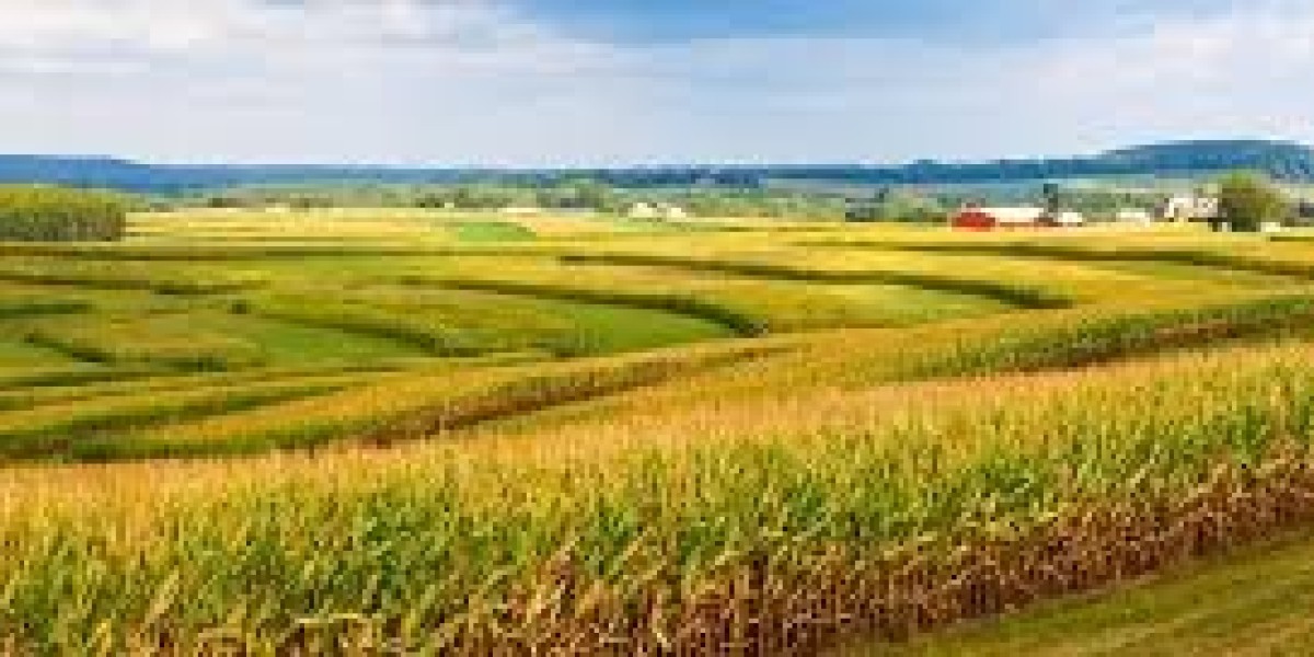 Regenerative Agriculture Market: Trends Shaping Policy & Sustainability