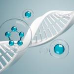 Ageless Vitality Peptides