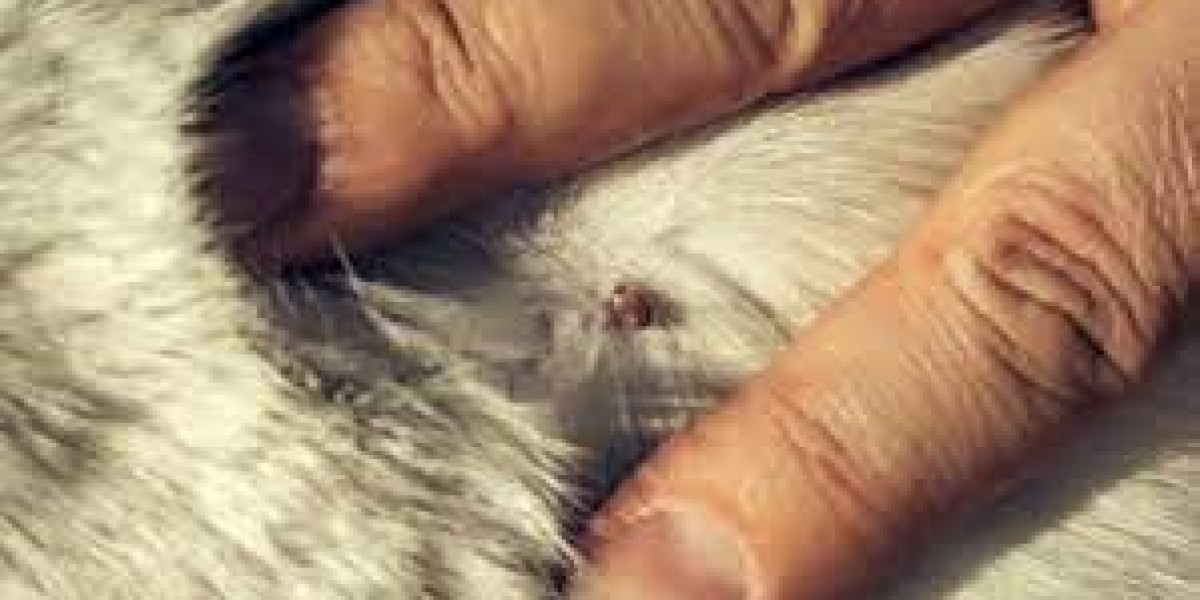 Animal Parasiticides Market evaluation with focus on technological advancements and veterinary healthcare applications g