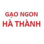 Gạo ST25 Hà Nội
