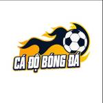 Trang cá độ bóng đá