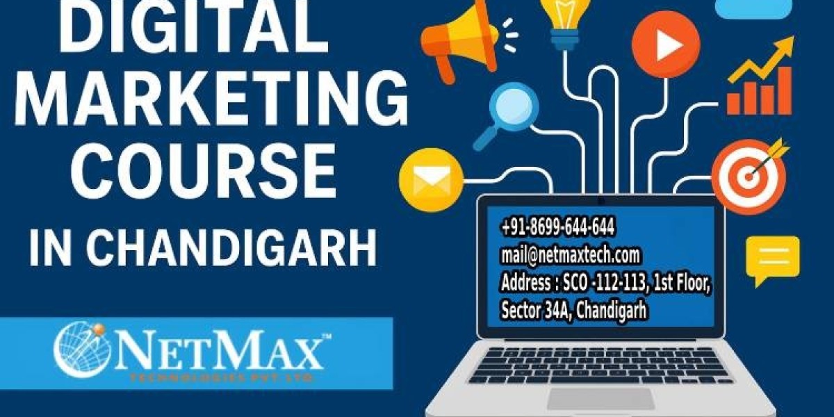 Netmax Technologies: Best Digital Marketing Institute in Chandigarh for 2025