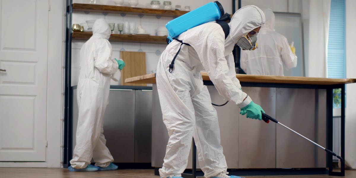 Top-Rated Pest Control Services in Lahore: Protect Your Home and Health
