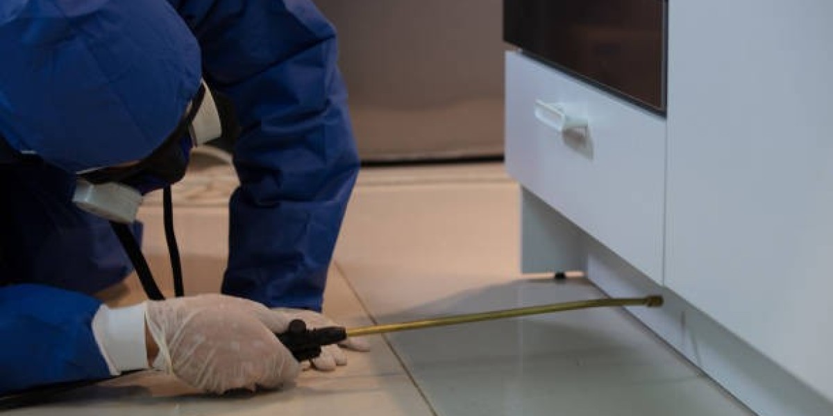 Beyond the Obvious: Understanding Pest Behaviour for Effective Home Protection