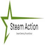 Steam Action Carpet Cleaning