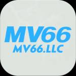 mv66llc