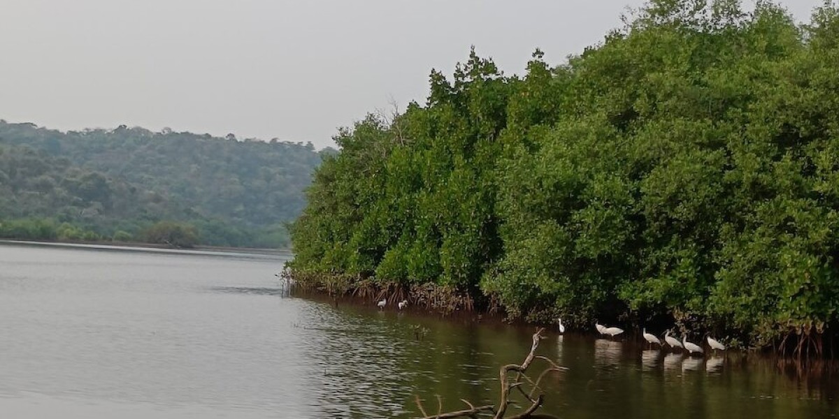 Discover the Hidden Beauty of the Konkan Coast with KonkanSparsh: Snorkeling, Kayaking, and Cozy Homestays in Malvan
