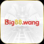 big88wang big88wang