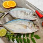 alfirdoosfishfarm7