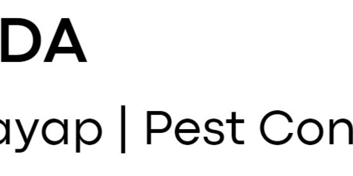 Protect Your Investment with Fumida’s Reliable Jasa Anti Rayap