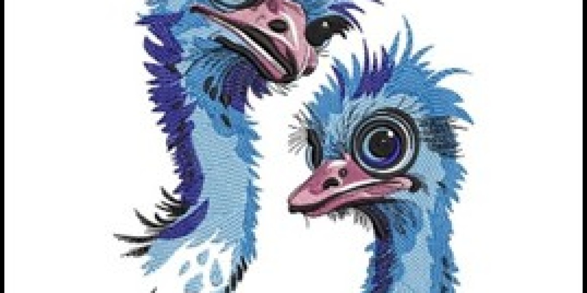 Where Can You OrderBirdsEmbroideryDesigns with Instant Download?