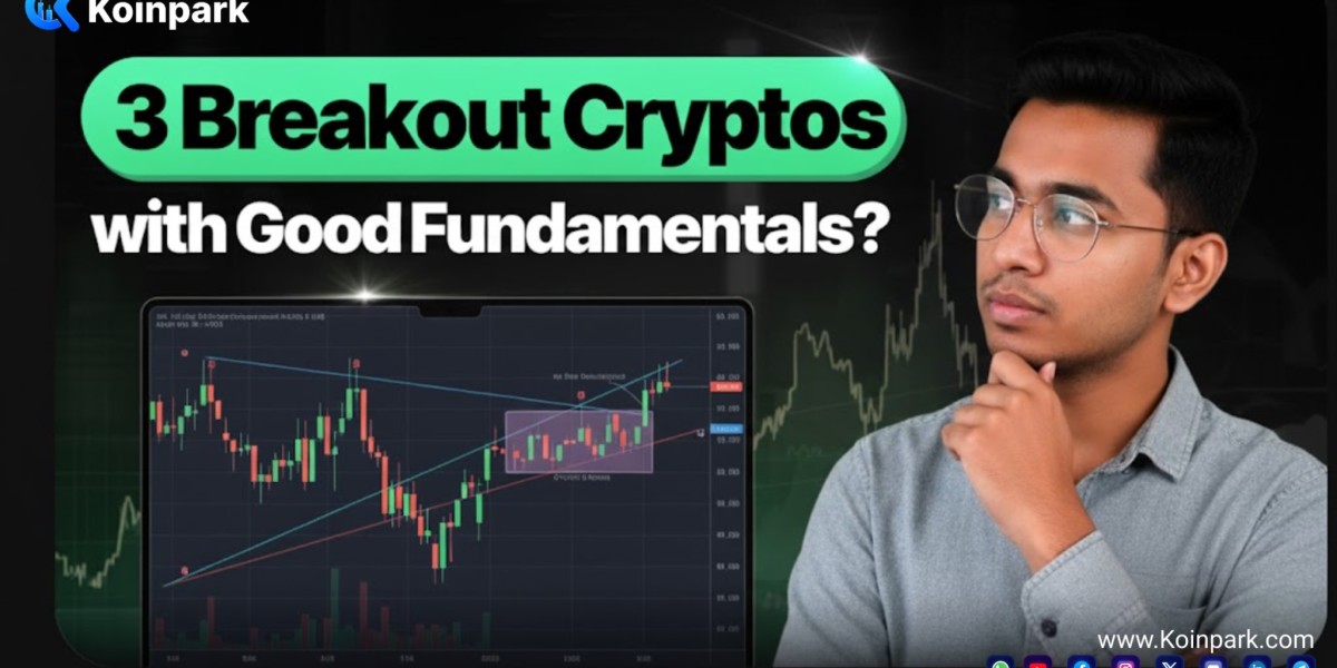 Three Breakout Crypto With Good Fundamentals?