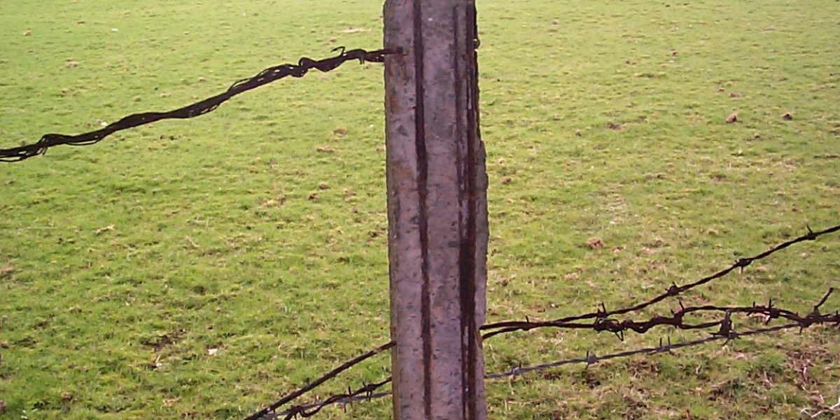 Brand New Online Casinos Nov 2025: New Real-Money Legal U S. Sites