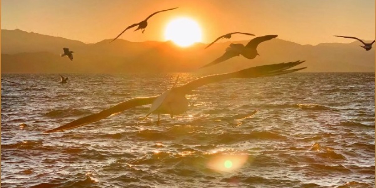 Players’ favorite “god-tier Regal” moments: miracles from one Orb