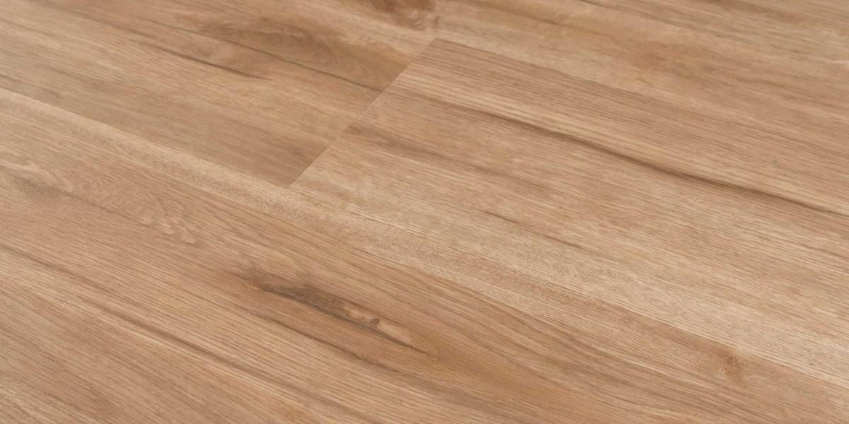 The Dark Area of Crypto: Scams, Volatility, and Regulation