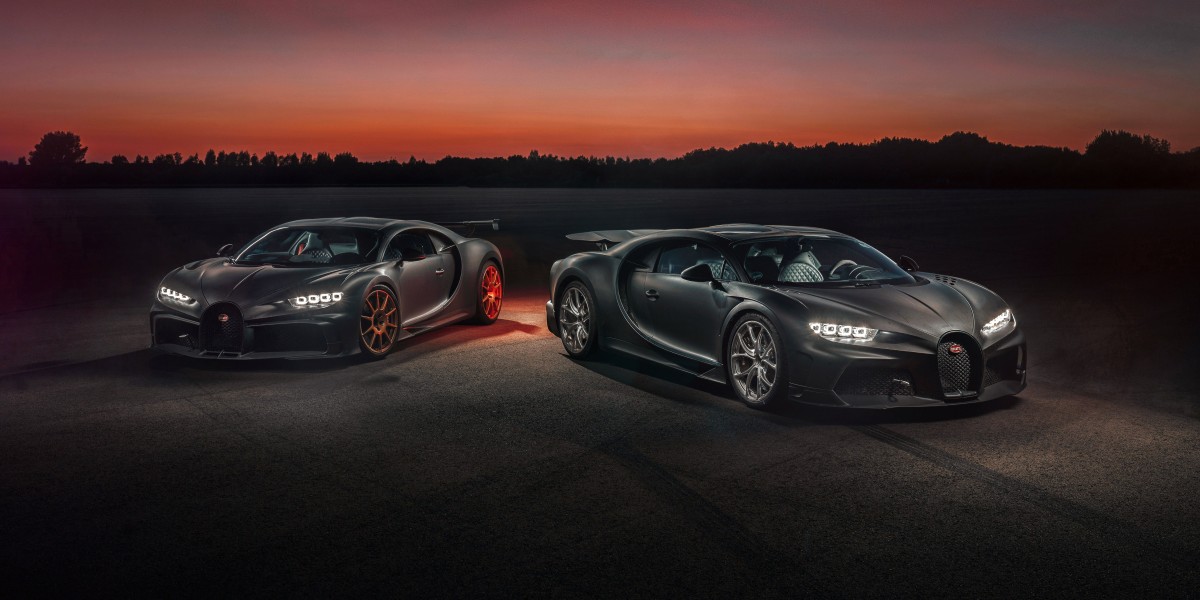 The Comprehensive Guide to Leopard Geckos: What Makes Them Perfect Pets