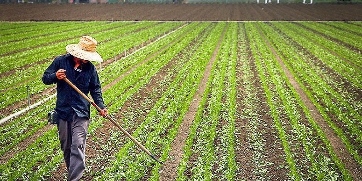 Domestic Oil Suppliers: Powering Homes and Communities Across the UK