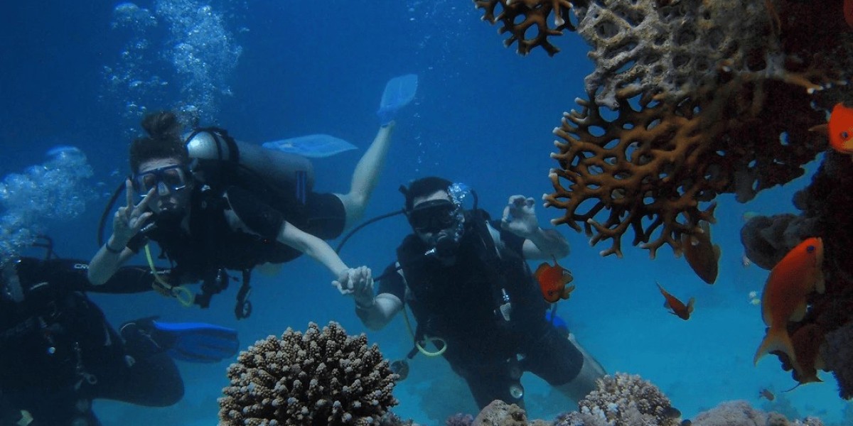 Sailing Toward Excellence: A Deep Dive Into the Evolving Marine Landscape of Saudi Arabia