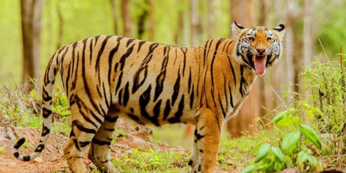 Saharanpur to Kedarnath taxi booking