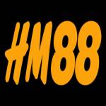 Hm888 in net
