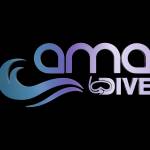 Amadive Con Dao Dive Center