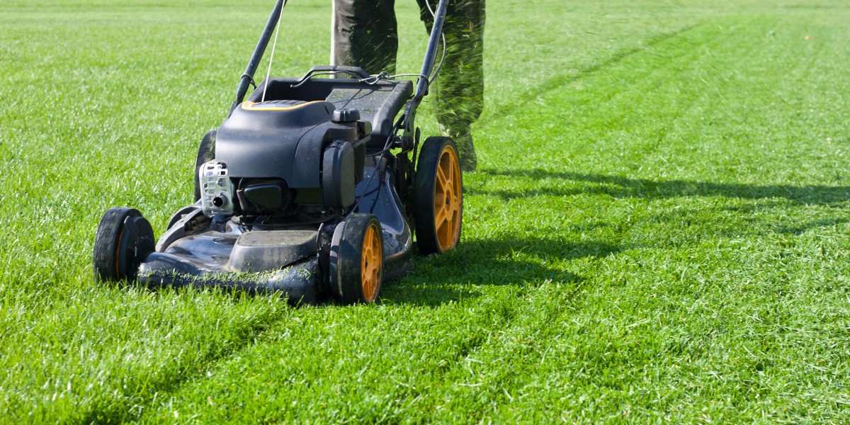 Reliable Tree Service in Westport CT – Maintenance & Care Experts