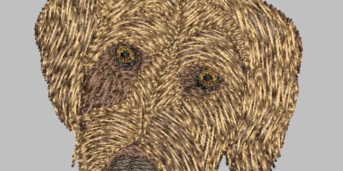 A Satirical Guide to the Wild, Bewildering, and Completely Impossible Promises of Custom Embroidery Digitizing