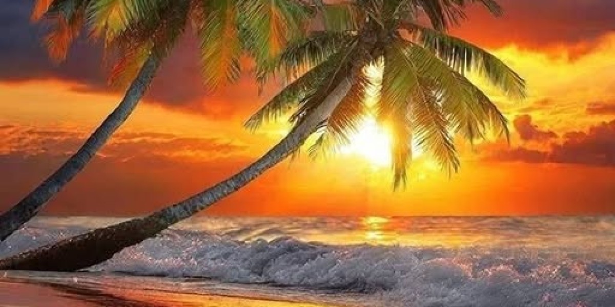 Smashville Goes Animated A Comprehensive FAQ Specialist in the direction of the HOCKEYVERSE