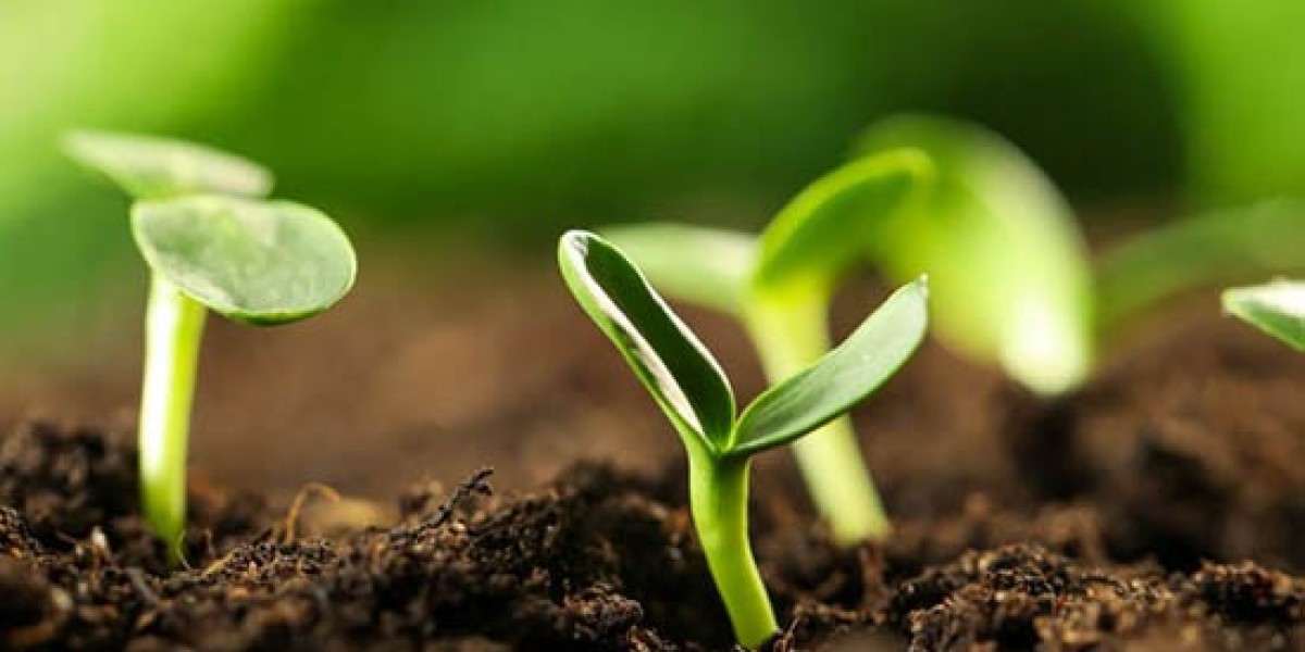 What benefits do personalized grain cleaning services offer farmers?