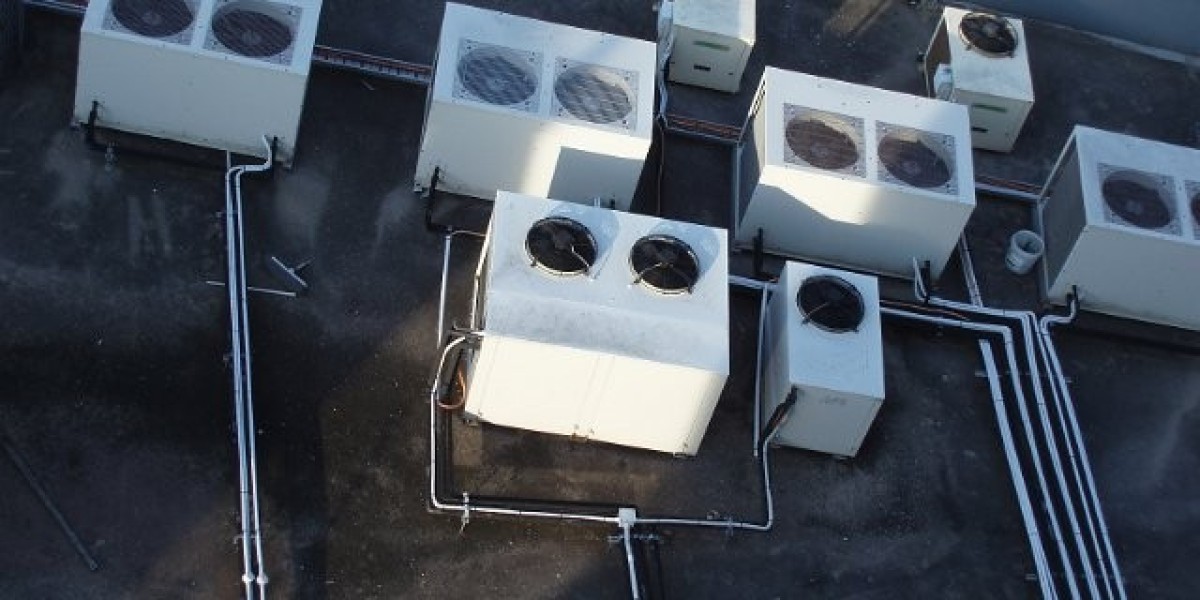 Zoome Casino Login Australia: Get Casino no Deposit Bonus