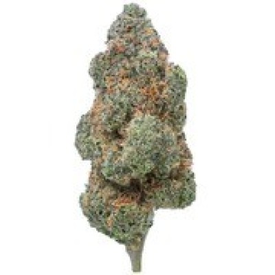 Black Maple THCa Flower Profile Picture