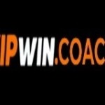 Vipwin coach