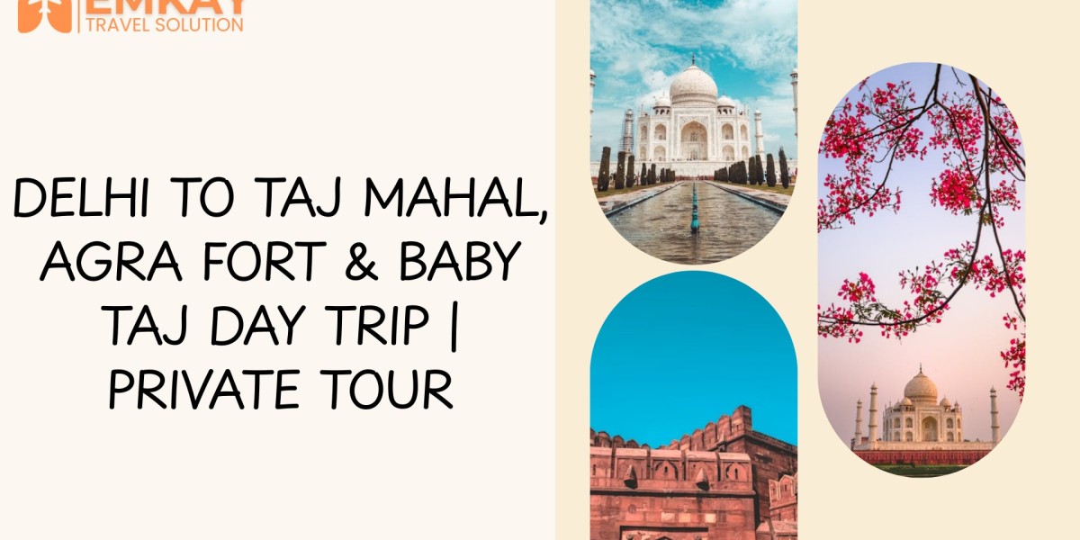 Delhi to Taj Mahal, Agra Fort & Baby Taj Day Trip | Private Private Tour