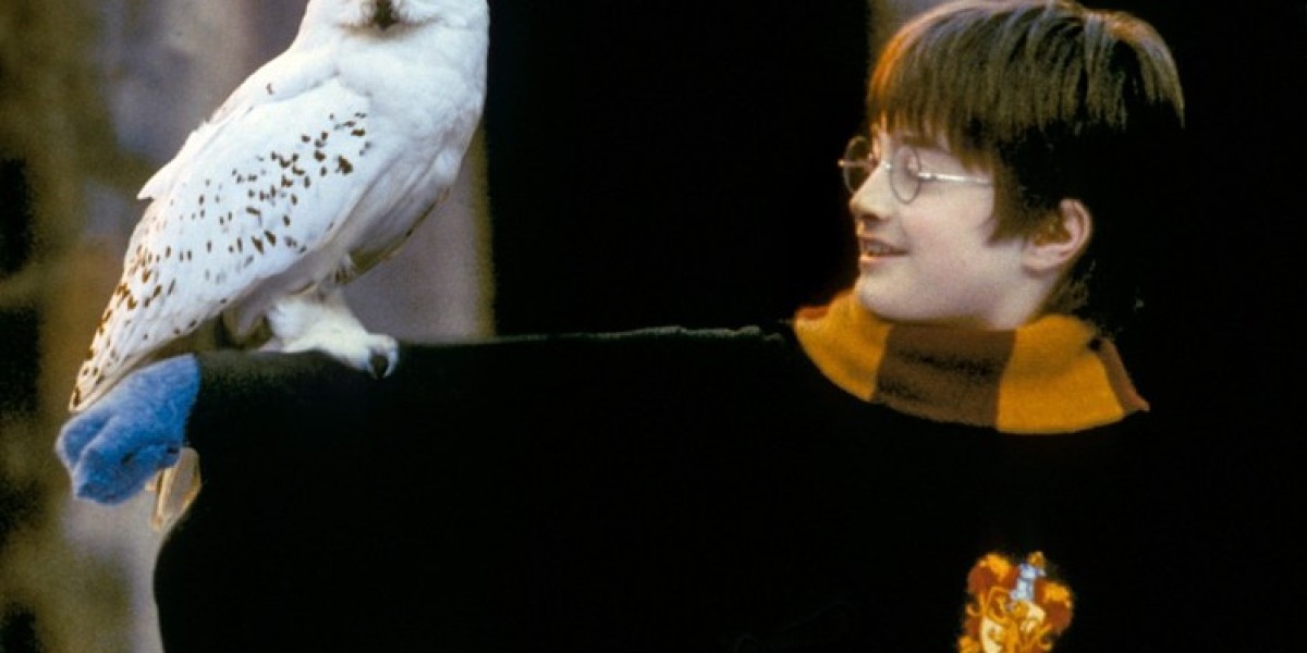 Harry Potter Shared Reality Experience—Cosm & Warner Bros.