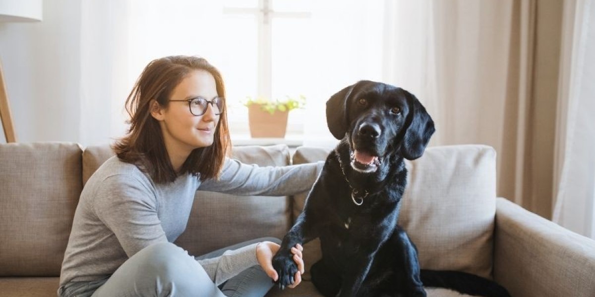 How Do Pet Sitters in New Orleans Handle Multiple Pets?