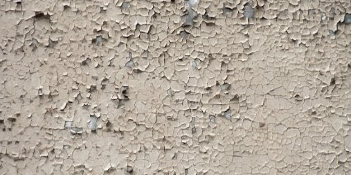 Best Gambling Platform