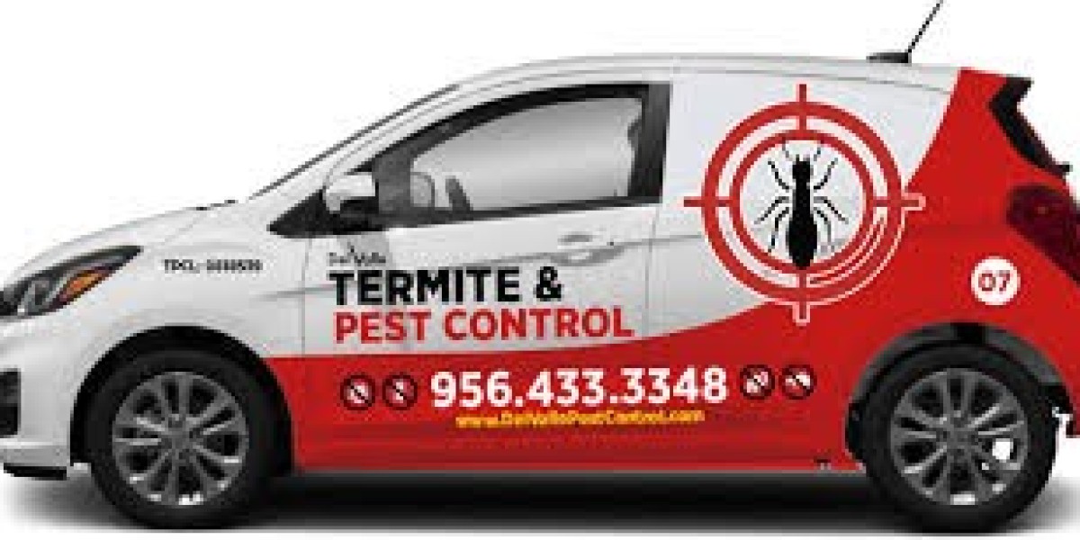 Pest Control Near Me: Reliable Local Experts for a Safe and Pest-Free Home
