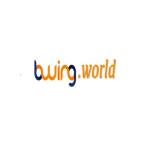 Bwing world