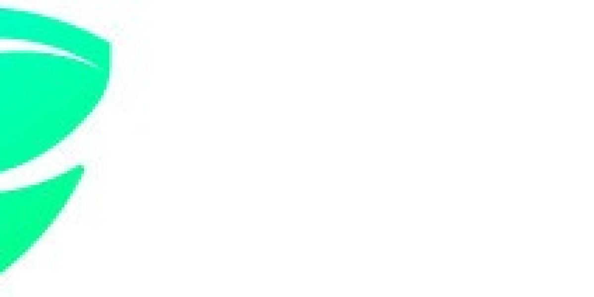 Prove Without Revealing: A Deep Dive into the Zero Knowledge Proof Paradigm