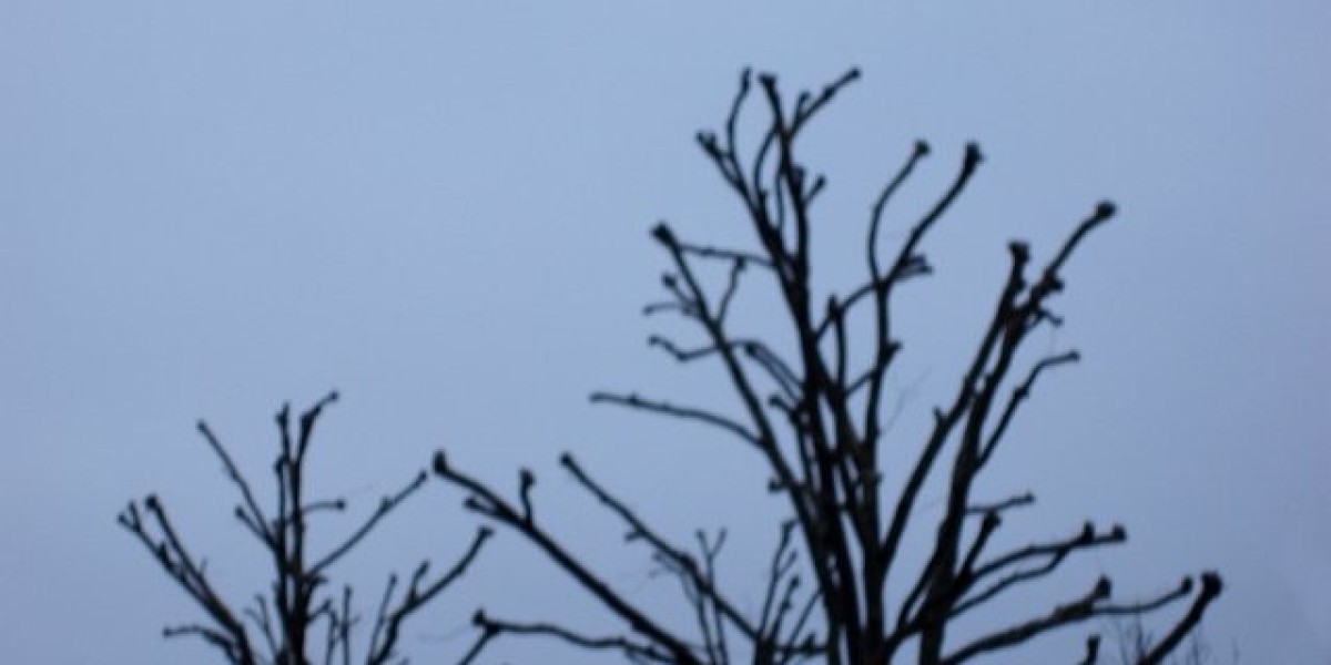 CASINOS in & near SYDNEY, AUSTRALIA 2025 up-to-date list