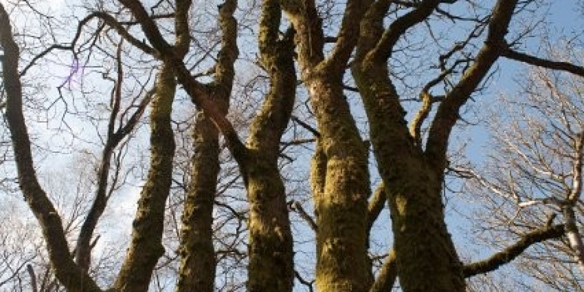 Best Online Casinos in Australia 2025 Top Casino Sites