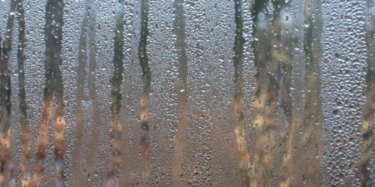 RocketPlay Casino : Register, Login and Verify casino account