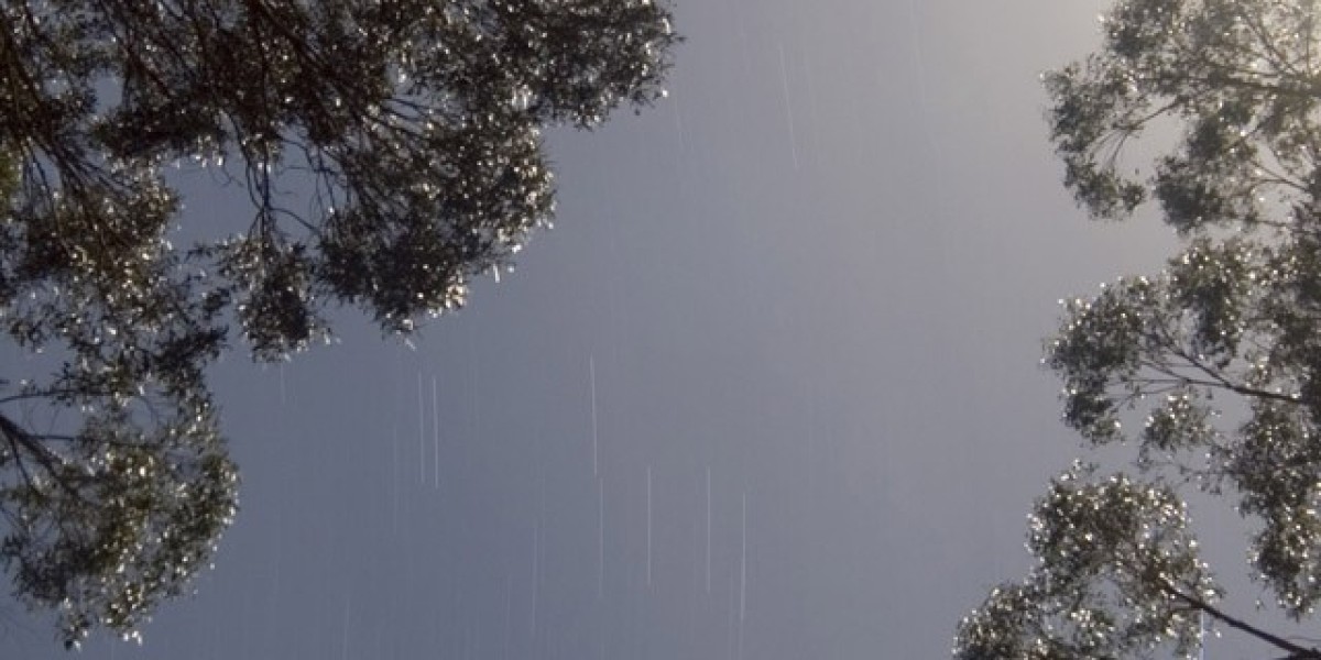 Login, Welcome Bonus 100% Up To C$160